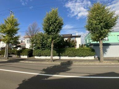 広々とした前面道路♪