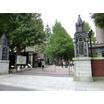 大学