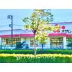 販売店