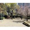 公園