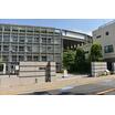 大学