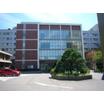 大学