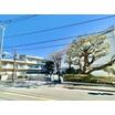小学校