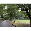 公園