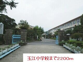 玉江小学校