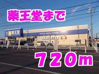 薬王堂