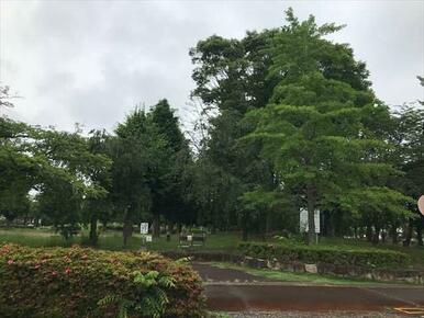 吉羽公園（久喜市吉羽１丁目）