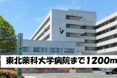 東北薬科大学病院