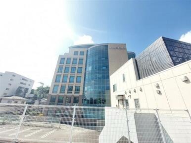 私立東北医科薬科大学