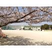 小学校