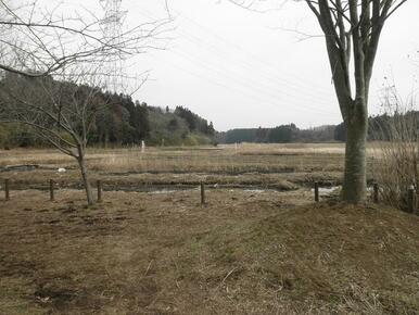 袖ヶ浦公園