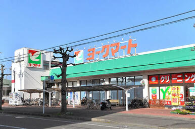 ヨークマート鴨宮支店
