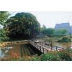 公園