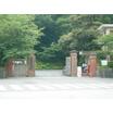 大学