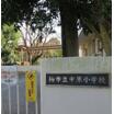 小学校