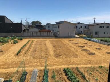 東南部屋より