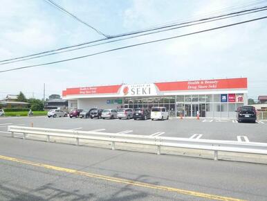 ドラッグストアセキ 南古谷店