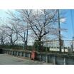 中学校