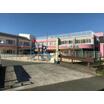 幼稚園、保育園