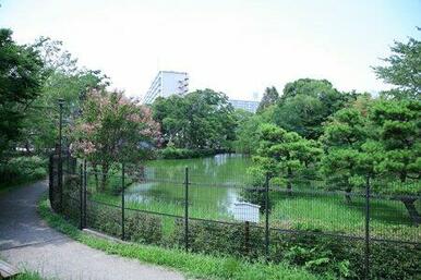 菊田水鳥公園