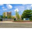 大学