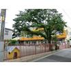 幼稚園、保育園