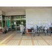 幼稚園、保育園