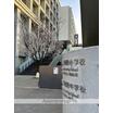 中学校