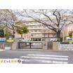 中学校