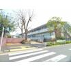 大学