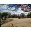 公園