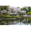 公園