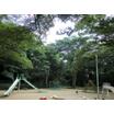 公園