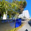 大学