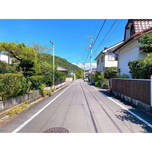 2025年9月撮影