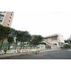 幼稚園、保育園