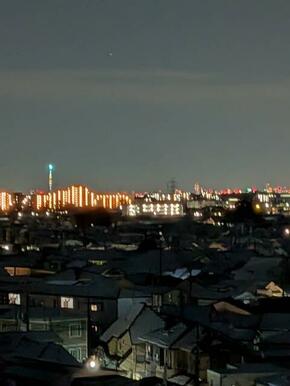 遠くにスカイツリー