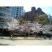 公園