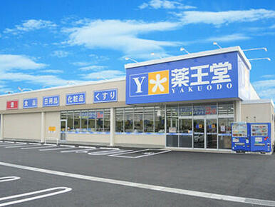 薬王堂盛岡中野店