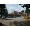 幼稚園、保育園