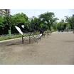 公園