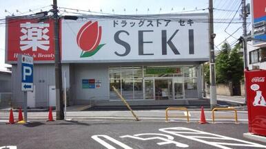 ドラッグストアセキ本木店