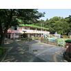 幼稚園、保育園