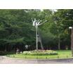 公園