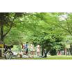 公園
