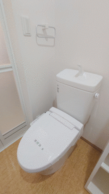 温水洗浄暖房便座付きのトイレになります。