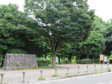 茅ヶ崎公園