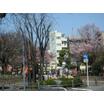 公園