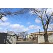 幼稚園、保育園