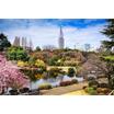 公園